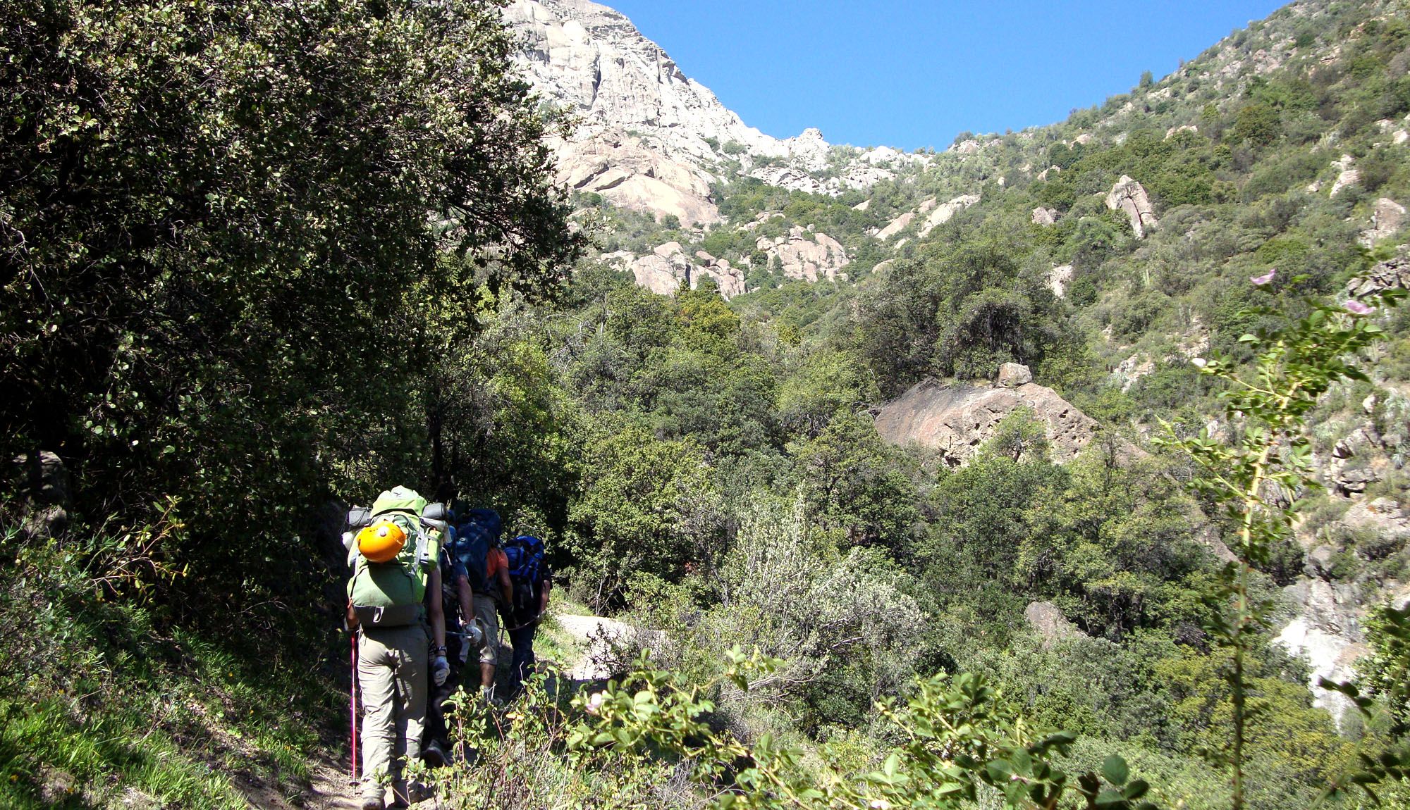 Lee más sobre el artículo Cerro La Campana (1.980 msnm.)